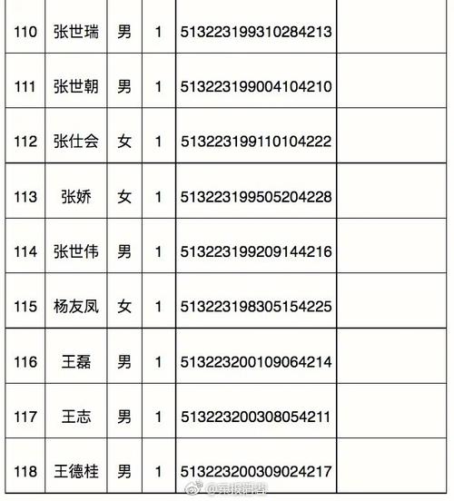 茂县118名失踪人员信息已公布名单